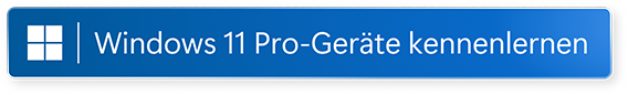 Lernen Sie Windows 11 Pro kennen im neuen Fenster öffnen